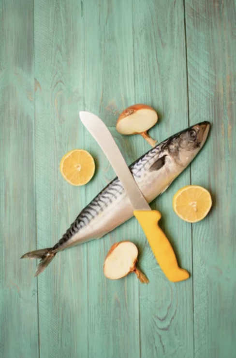 categorie poissons-et-fruits-de-mer